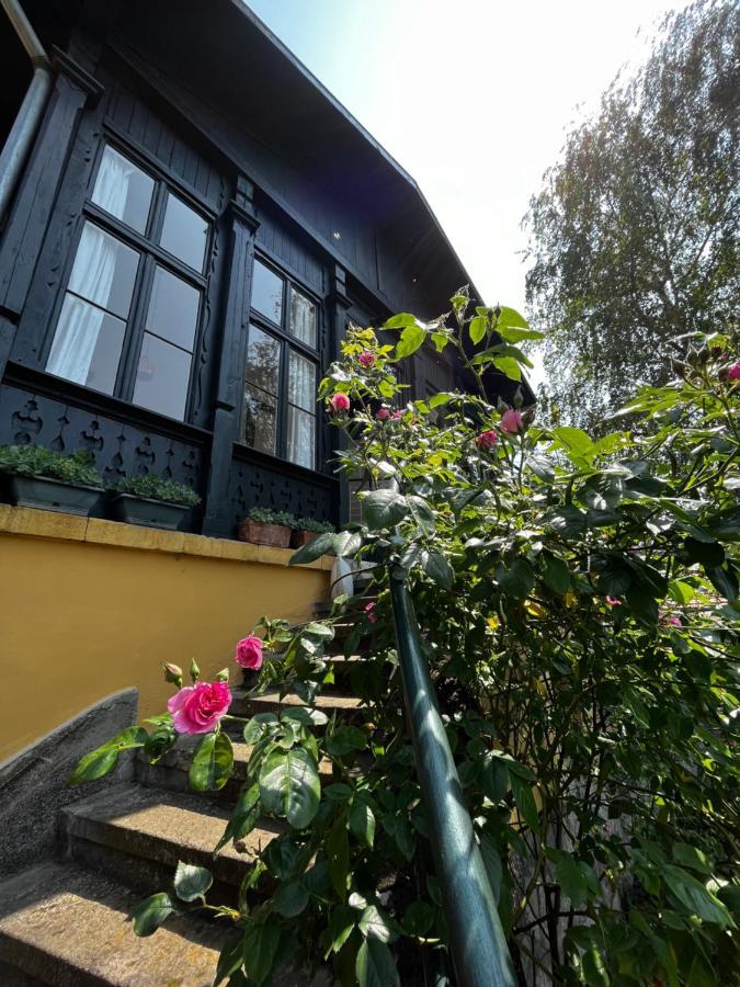 Apartmentvillasolomon7 فيشيغراد المظهر الخارجي الصورة